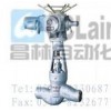 J961Y-P55140V,J61Y-P54170V,J61Y-P54170V，電站截止閥,