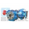 DPZ-1.2/0.6，DPZ-1.6/0.6，DPZ-3.3/0.6，DPZ-4/0.6，高真空強(qiáng)排式齒輪泵