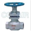 U11SM-16，U11SM-16C，U11SM-16P，U11SM-16R，內(nèi)螺紋柱塞閥