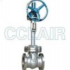 DZ40Y-40LCB，DZ40Y-40LC1，DZ40Y-40LC2，傘齒輪低溫閘閥