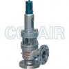 A40Y-64C，A40Y-64I，A40Y-100C，A40Y-100I，帶封閉散熱器彈簧全啟式安全閥