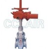 Z943F，Z9B43WF，Z9B43WD，Z9B43WY，Z9B43WbF，Z9B43WbY，電動(dòng)平板閘閥